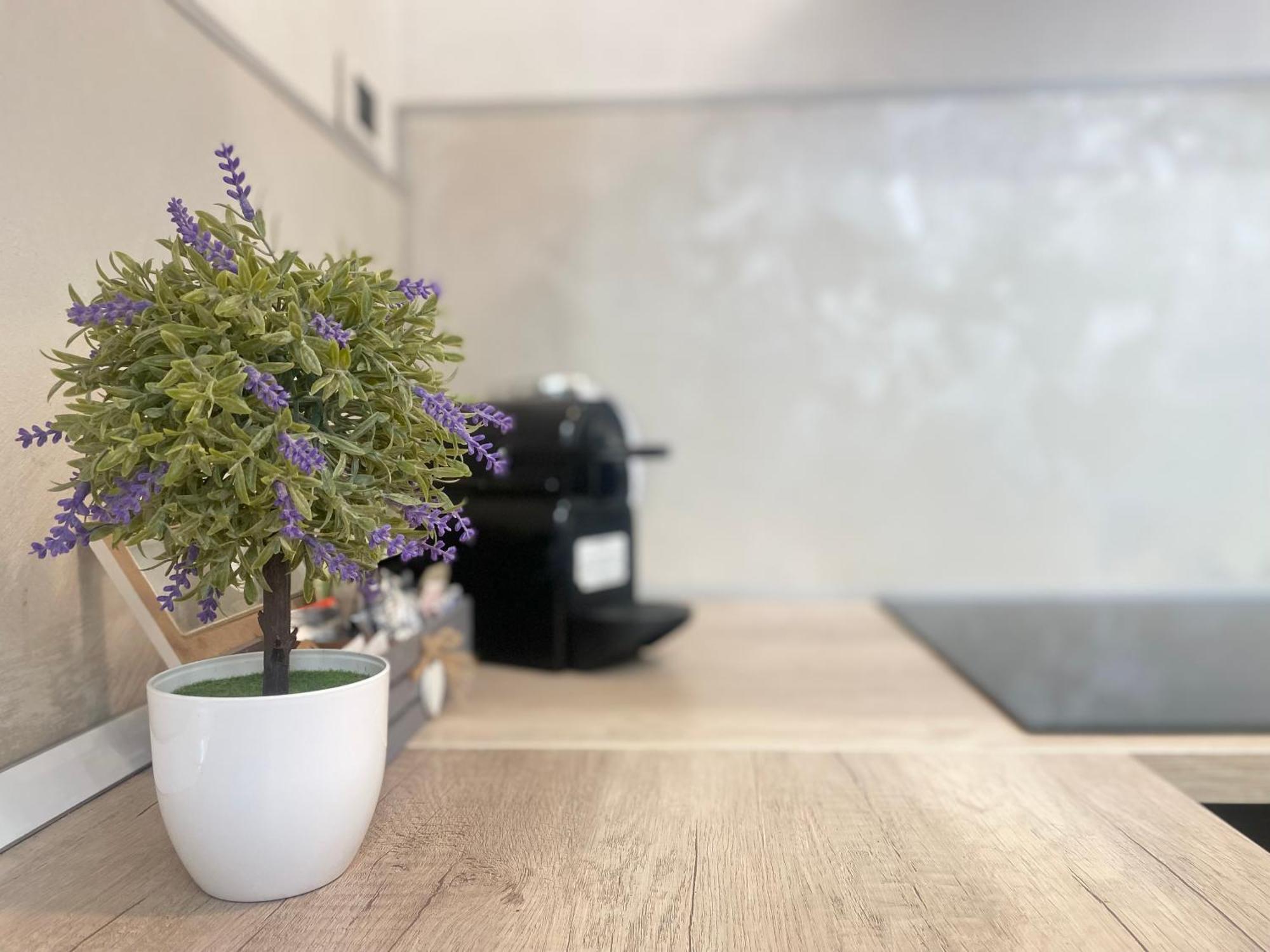 Mazzini 12, Elegant Central Apartment With Free Private Garage 800 M, Air Conditioning, Wi-Fi, Just 100 M From The Public Beach Рапало Екстериор снимка